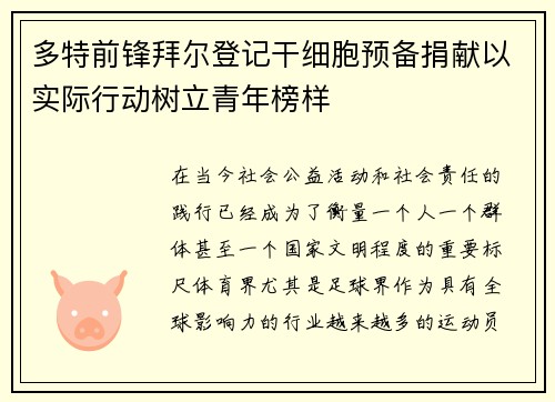 多特前锋拜尔登记干细胞预备捐献以实际行动树立青年榜样